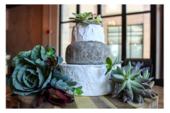 cheese-wheel-cake-with-succulants-1_1