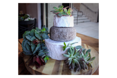 Cheese-Wheel-Cake-with-Succulants-3